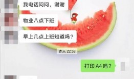 独家爆料海角大神之邻居 今日吃瓜官网,海角大神邻居的神秘生活，今日吃瓜官网带你一探究竟